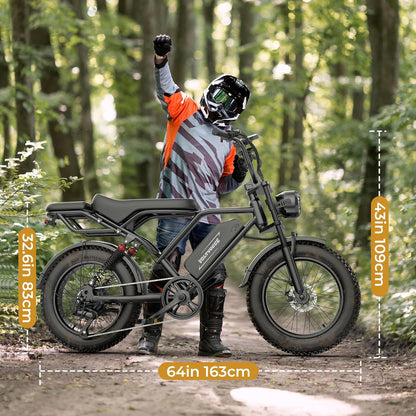 RGM-3T, cric de levage électrique 3 tonnes, profil bas en aluminium et acier